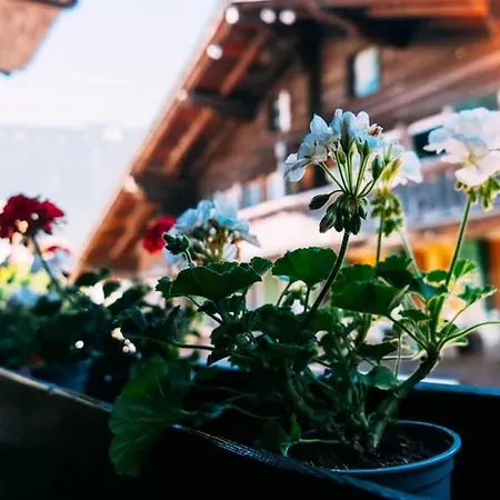 Lakeside Lela Near Interlaken Διαμέρισμα *