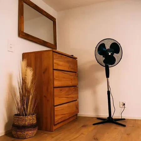 Lakeside Lela Near Interlaken Διαμέρισμα *